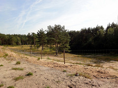 Utrechtse-Heuvelrug_E.-Dronkert.jpg Miniatuurvoorbeeld