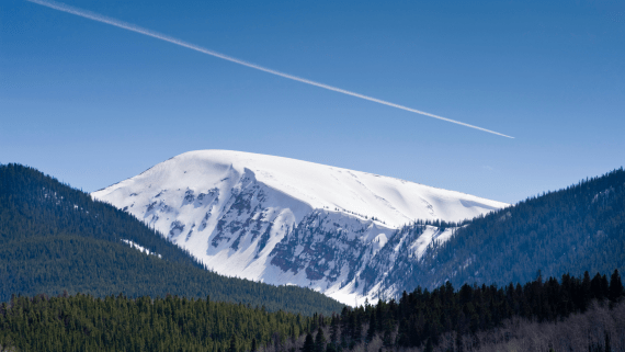 Bergen met sneeuw en naaldbossen