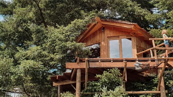 Een houten vakantiehuisje in een boom