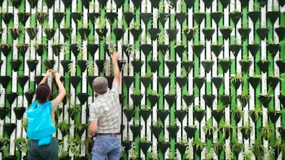 Twee mensen staan bij een muur van planten 