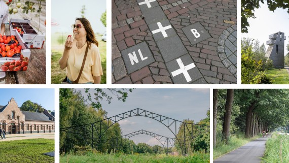 Collage van afbeeldingen van de Nederlandse natuur en cultuur