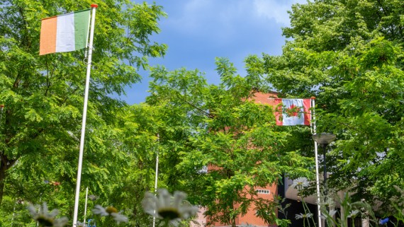 Vlaggen van Ierland en Zwitserland op de BUas campus
