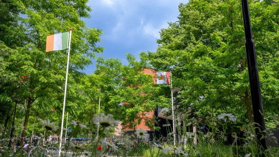 Bomen en vlaggen op de BUas campus