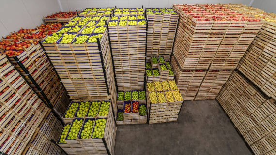 Kratten met fruit staan in een opslag