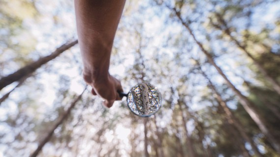 Een hand houdt een vergrootglas vast in een bos