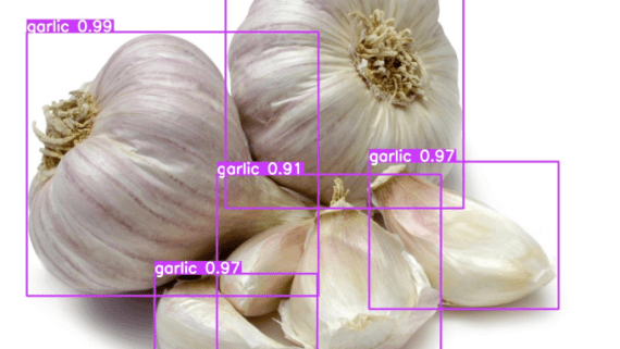 Bollen en tenen knoflook