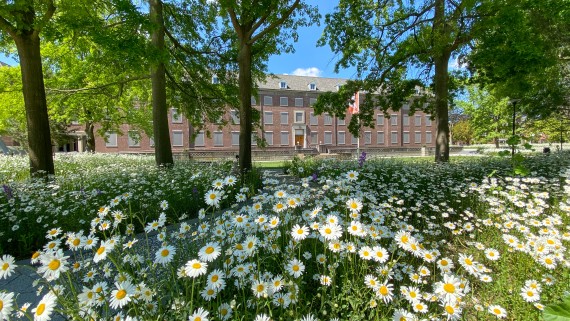 Image of BUas campus in spring