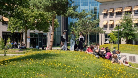 Groene campus met gele bloemen en studenten die op het gras liggen en zitten.