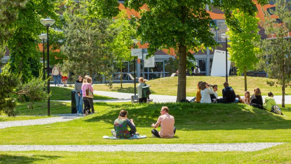 Studenten zitten op het grasveld op de campus