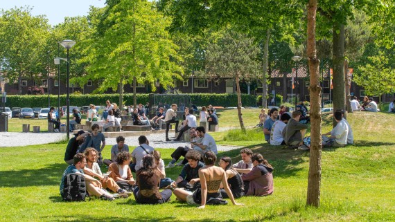 mensen in groepjes op een grasveld