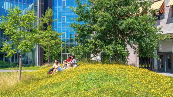 Mensen zitten op bloemenveld