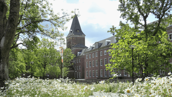 Bloemen bloeien op de BUas campus