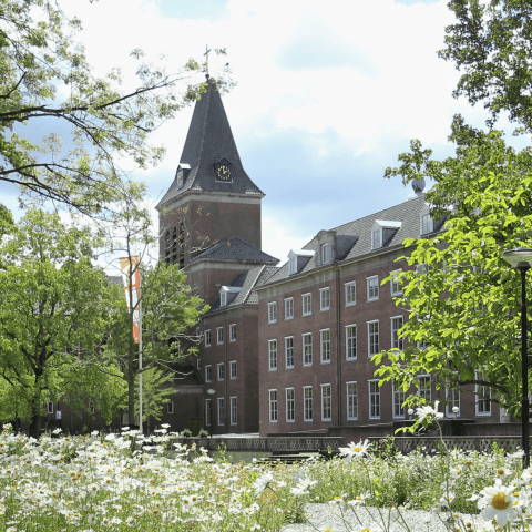 Bloemen bloeien op de BUas campus