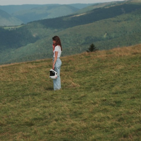 Jip staat in het midden van een bergweide