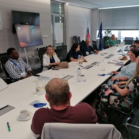 WP5 experts aan het werk 