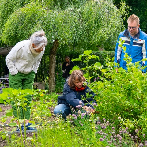 Studenten werken in een moestuin op de BUas campus