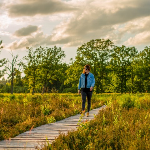 Een vrouw loopt over een vlonderpad in een bos
