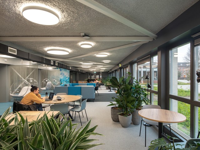 inside a building with lights and plants