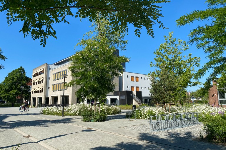Frontier building