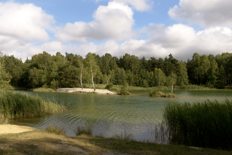 Een meer in het bos