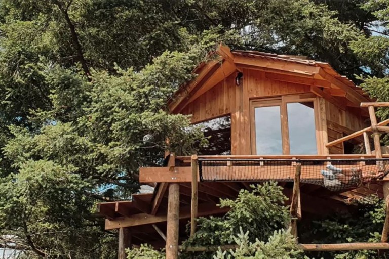 Een houten vakantiehuisje in een boom