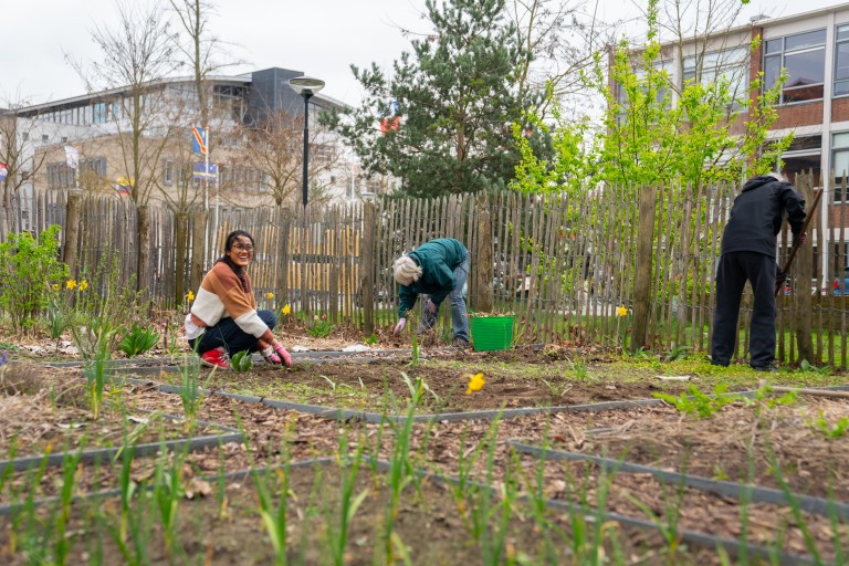 Studenten werken in de BUas moestuin