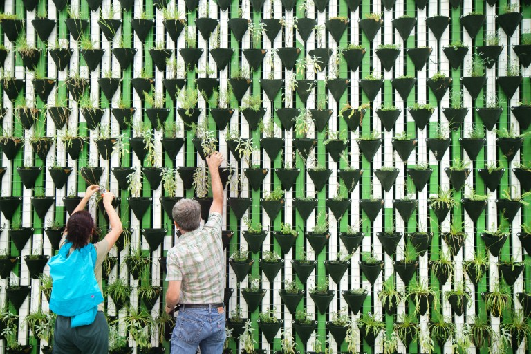 Twee mensen staan bij een muur van planten 