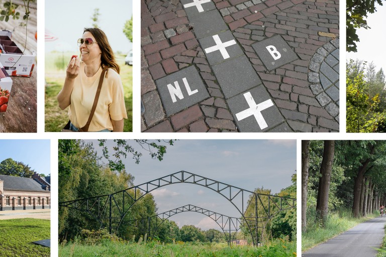 Collage van afbeeldingen van de Nederlandse natuur en cultuur