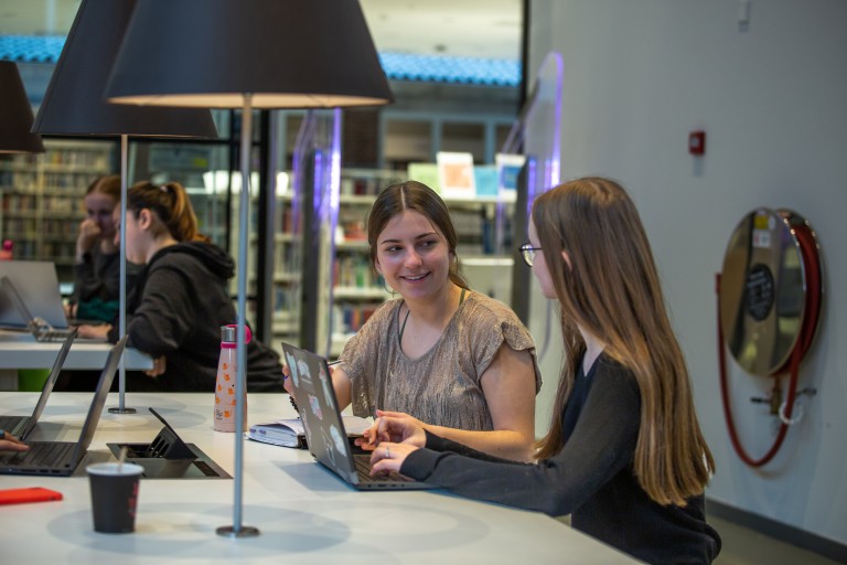 Twee studenten in een studiezaal werken samen op een laptop