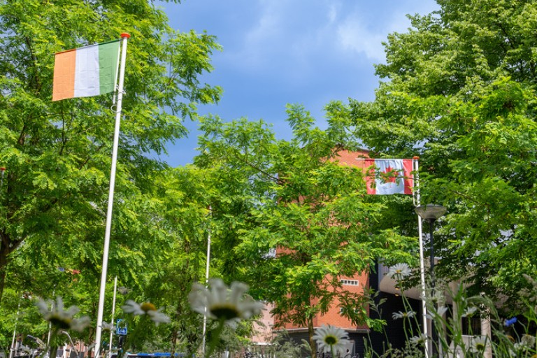 Vlaggen van Ierland en Zwitserland op de BUas campus