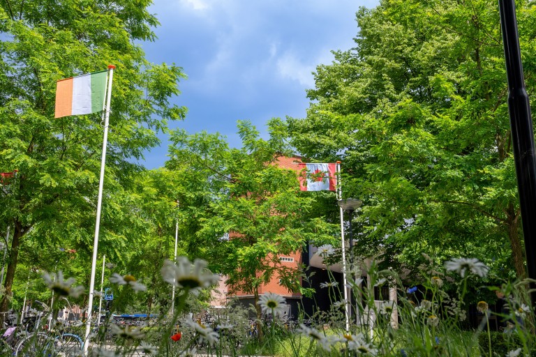 Bomen en vlaggen op de BUas campus