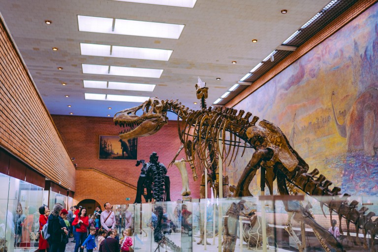 Mensen bekijken een dinosaurus-skelet in een museum