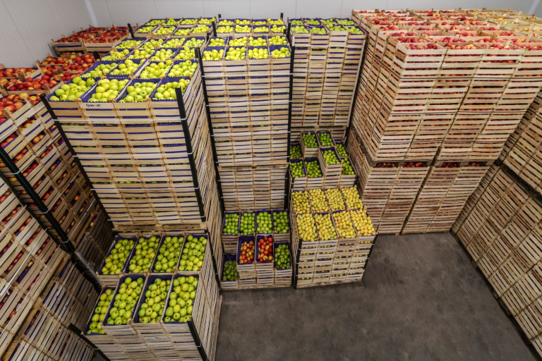 Kratten met fruit staan in een opslag