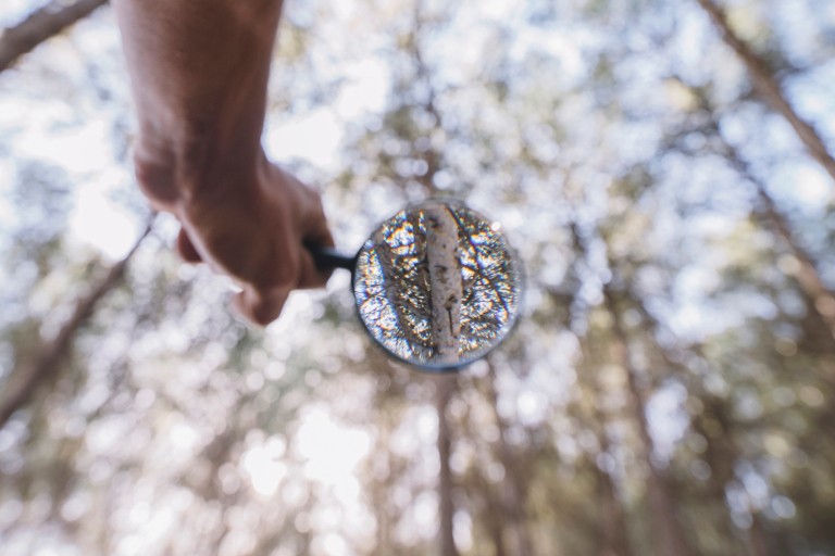 Een hand houdt een vergrootglas vast in een bos