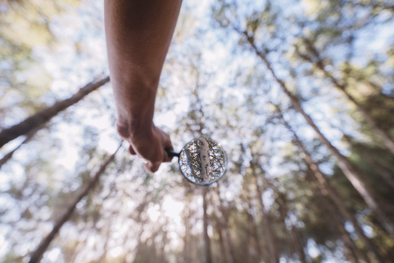 Een hand houdt een vergrootglas vast in een bos