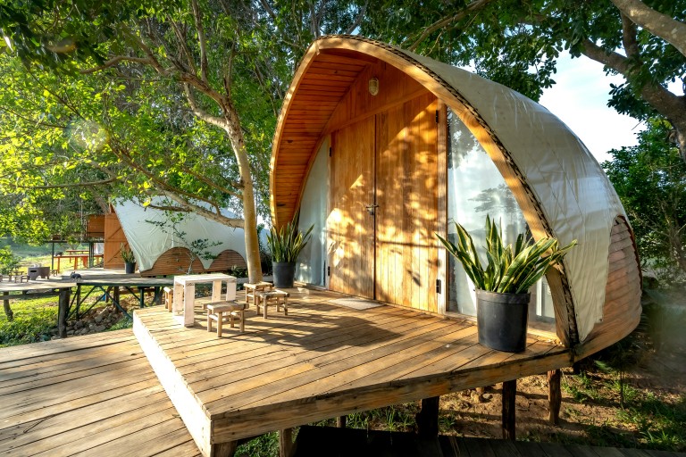 Houten vakantiehuisjes in de natuur