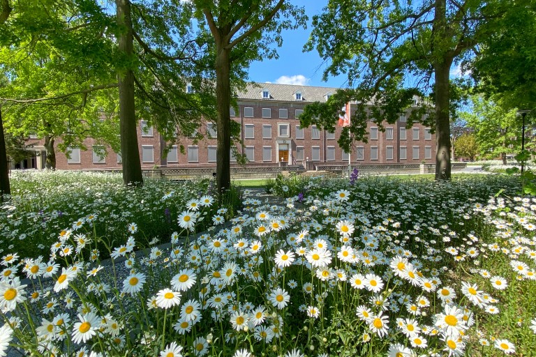 Image of BUas campus in spring