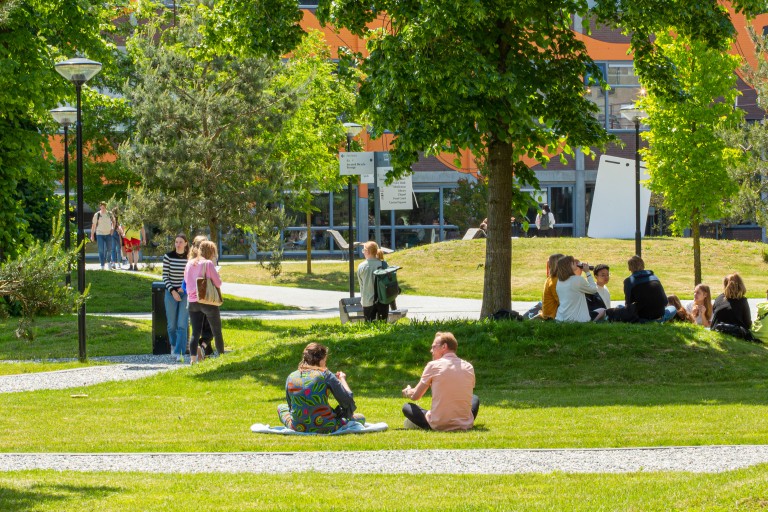 Studenten zitten op het grasveld op de campus