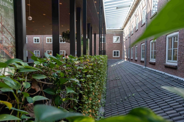 plants inside a building