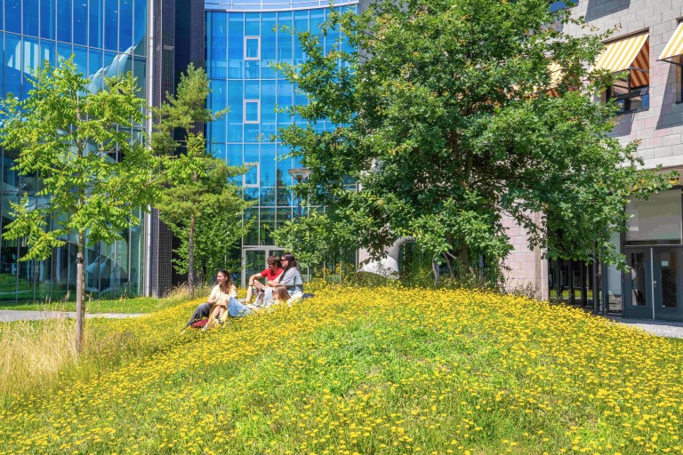 Mensen zitten op bloemenveld