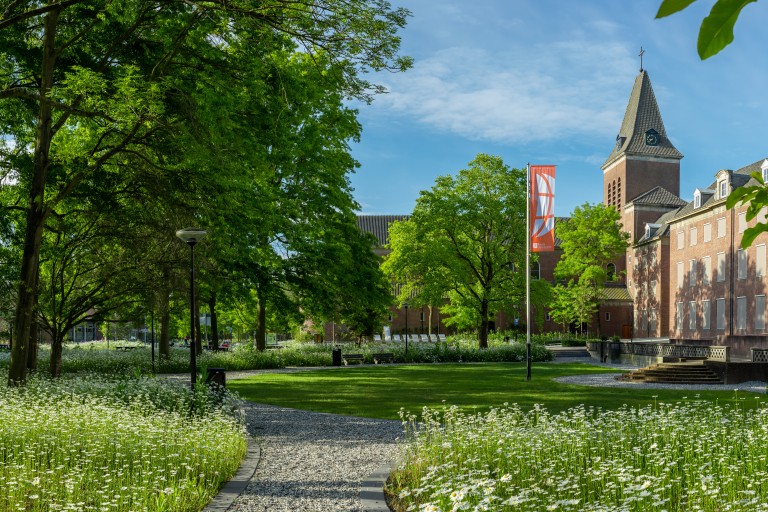 Gras en bloemen op de BUas campus