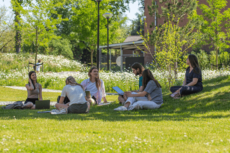 Studenten zitten op het gras op de BUas campus