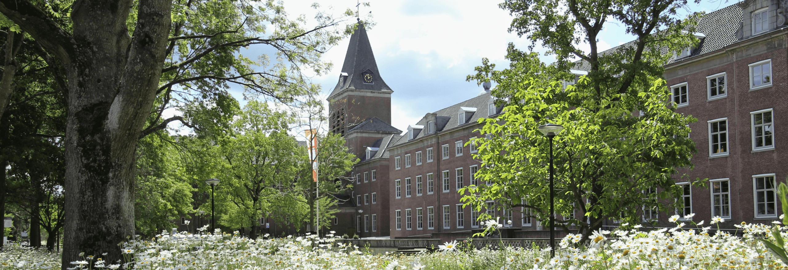 Bloemen bloeien op de BUas campus