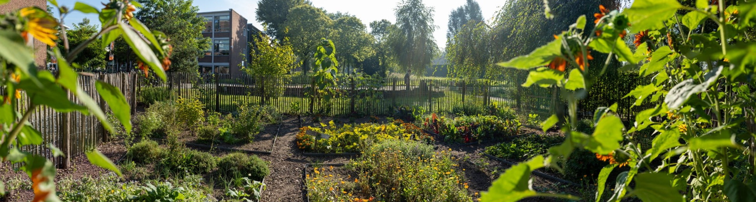 Community Garden