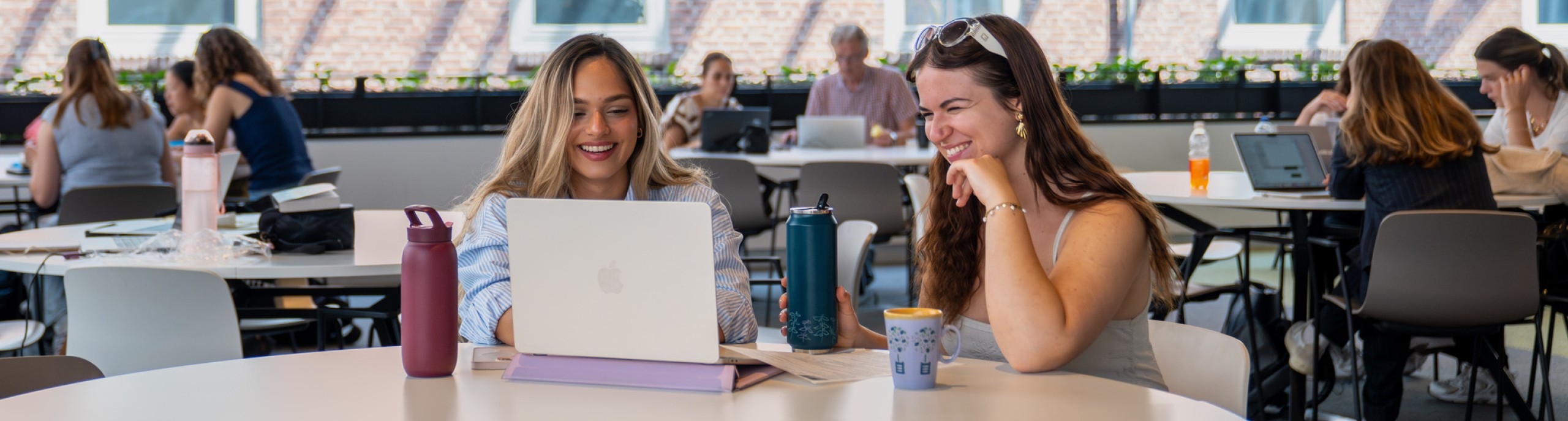 Twee studenten zitten lachend achter hun laptop