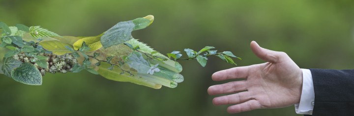 Een mensenhand steekt zich uit naar een hand van planten