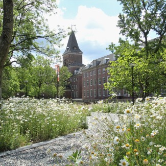 Een veld met bloeiende bloemen op de BUas campus