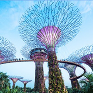 Een verhoogd wandelpad bij een hoog park in Singapore