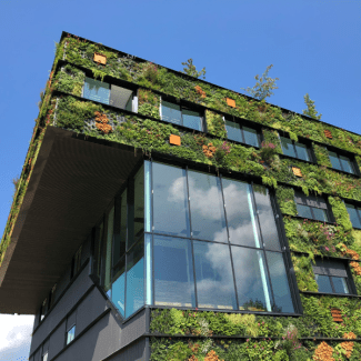 Een gebouw met planten die aan de buitenmuren groeien
