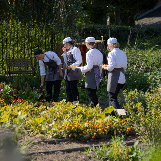 Vier studenten met schorten staan in de BUas moestuin